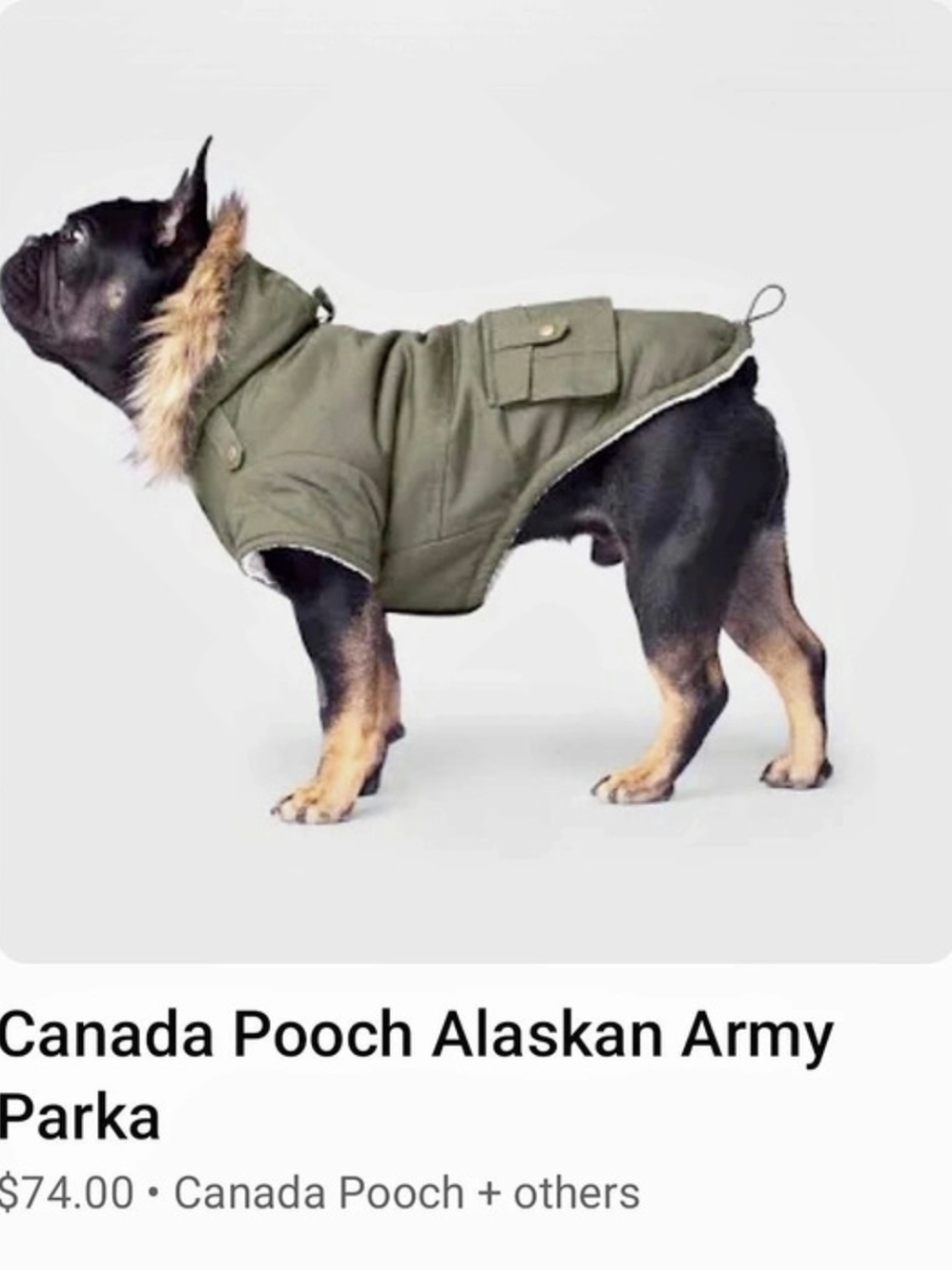 Canada Pooch Alaskan Army Parka Dog Coat Green & Brown